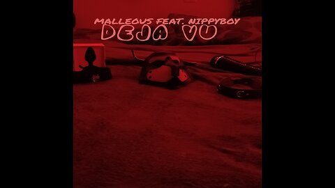 Malleous feat. NippyBoy - Deja Vu [Audio Visualizer]