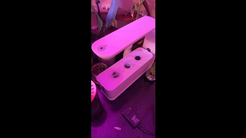 ScienGarden Hydroponics Growing System Indoor Herb Garden Germination Starter Kit 60 LED Grow L...