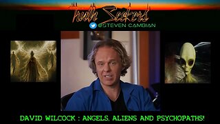 David Wilcock, Angels, Aliens and PSYCHOPATHS!