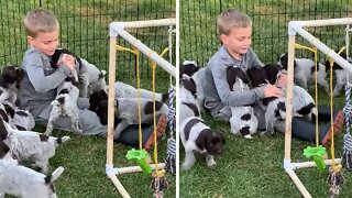 Pile Of Puppies Give Hugs & Kisses To Lucky Little Boy