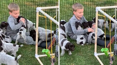 Pile Of Puppies Give Hugs & Kisses To Lucky Little Boy
