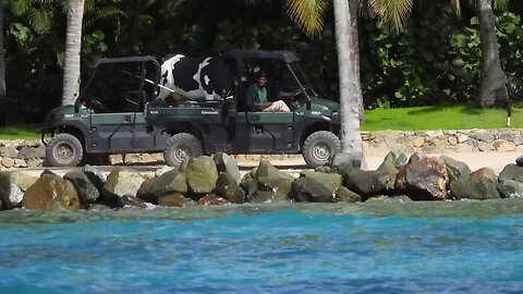 Epstein's Pedophile Island, Little St. James USVI Drone on Water July 2019