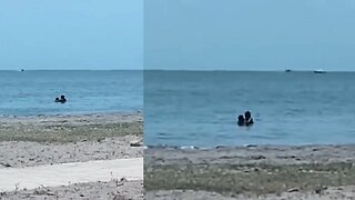 ¿Un Delicioso ? Se viraliza video de una pareja en playa de Cartagena