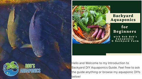 Aquaponics for Beginners | Guide Walkthrough 🐟 🍅🥬🍓