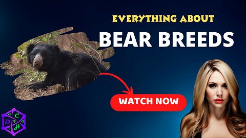 The Amazing World of Bear Breeds