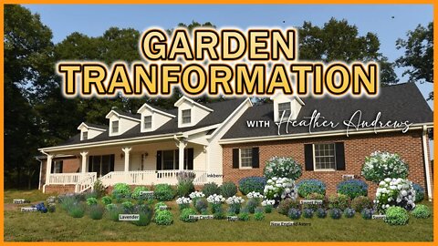 Transform Your Property Into a Beautiful Butterfly Garden