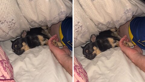 Owner & Puppy Sleep Adorably Holding Hands
