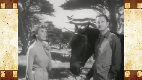 The Second Woman (1950)⭐️Robert Young | Drama, Film Noir, Mystery