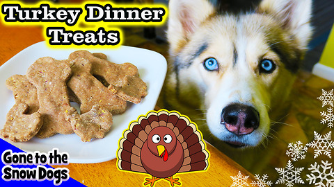 DIY dog treats: Thanksgiving dinner for dogs