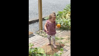 The First Pumpkin