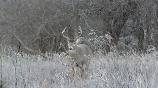 Crossbow Country | Deer & Deer Hunting TV