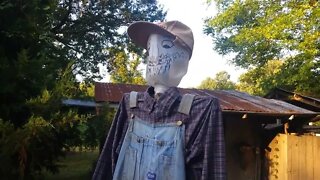 NOT a scary Scarecrow. Organic Garden Pests