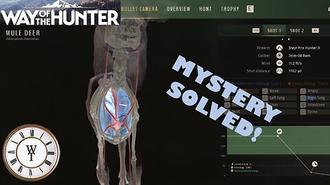 Disappearing Bullet Mystery Solved! - Way of the Hunter