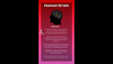 Five Remarkable Qualities of the Human Brain Explained!