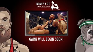 Gym Session w/the Bearded Bros & Hank-a-Tank [Week 14] // Squats & Deads // Animal Rescue