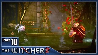 The Witcher 2, Part 10 / Iorveth Meeting, Letho Boss, Where is Triss Merigold