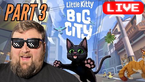 A Bunch of Baby Ducks?! | Little Kitty Big City - Part 3