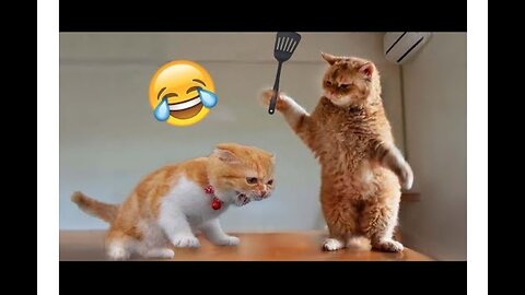 Best Funny Animal Videos of the year (2021), funniest animals ever. relax with cute animals.AWW anim