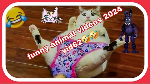 🤣🤣🤣🤣🤣Funny dog and cat videos 2024 _ best videos of 2024 🤣🤣🤣🤣