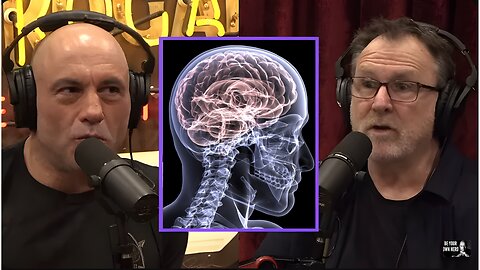 Fake Martial Arts And The Crazy Things That Cause Brain Damage Joe Rogan Colin Quinn Part 2