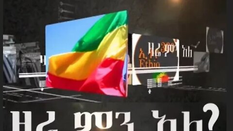 Ethio 360 Zare Men Ale "የአደባባይ ሰላማዊ ተቃውሞ ጅማሮ" Thursday Jan 28, 2021