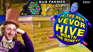 New VEVOR Beehive Build and Review | VEVOR listened to customers and fixed its hive.