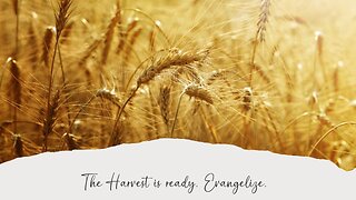 The Harvest Is Ready, Evangelize