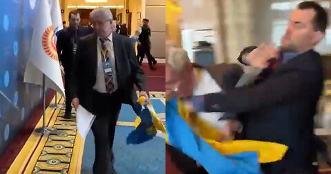 Ukraine Delegate Punches Russian Delegate After Russian Grabs Ukraine Flag From His Hands