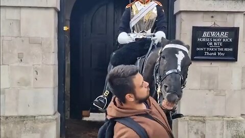 Tourist dodges the horse bite #horseguardsparade