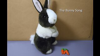 Bunny Song