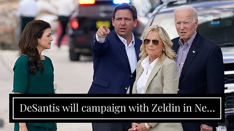 DeSantis will campaign with Zeldin in New York