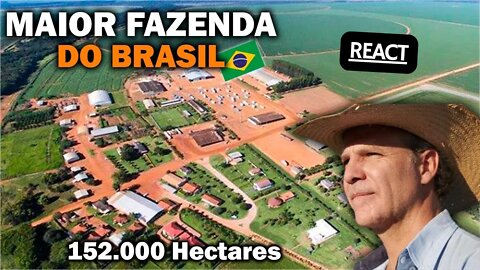 CONHEÇA A MAIOR FAZENDA DO BRASIL Fazenda Roncador REACT