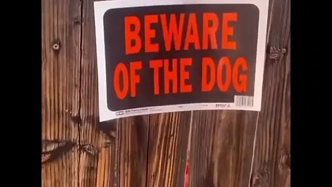 Beware of the dog! #shorts