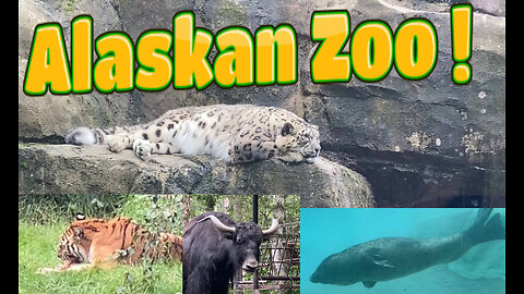 Wildlife Zoo Anchorage Alaska