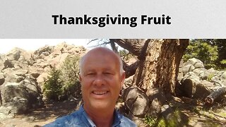 Thanksgiving Fruit