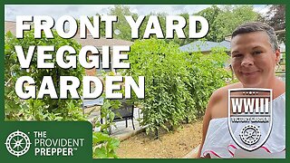 WWIII Victory Garden: Front Yard Vegetable Garden from Chelsea at OurUrbanHomestead