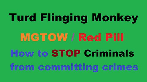 Turd Flinging Monkey (TFM) on How to STOP Criminals from COMMITTING CRIMES