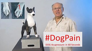 Paw-Some Pain Relief: Acupressure Technique to Soothe Your Dog's Discomfort