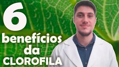 6 benefícios da clorofila para nossa saúde