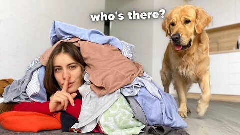 Hiding From My Dog Under A GIANT Pile Of Clothes!
