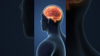 Penis Fact: No Brain Ejaculation