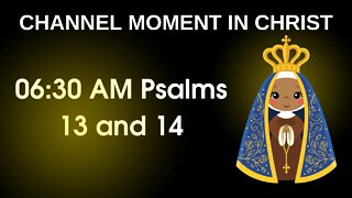 Psalms 13 and 14 - How long will you hide from me 🙏🙏