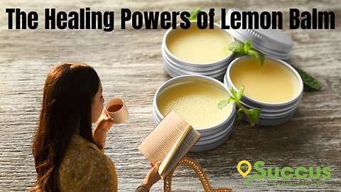 The Healing Powers of Lemon Balm