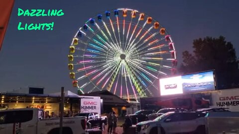 Minnesota State Fair Animals and Ferris Wheel