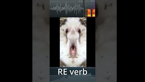 "Screaming Goat Meme Sound Effects in Reverse Reverb Pitch: A Hilarious Twist on a Classic Meme"