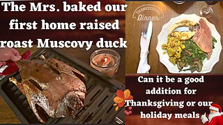 The Mrs. cooks her first naturally home raised roast Muscovy duck on Thanksgiving?