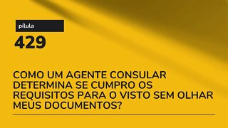 PÍLULA 429 - COMO UM AGENTE CONSULAR SABE SE CUMPRO OS REQUISITOS DO VISTO S/ OLHAR MEUS DOCUMENTOS?