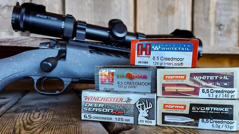 Weatherby Mark V Hunter - AMMO TEST