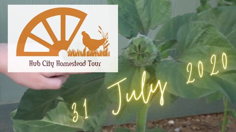 Hub City Homestead Tour 31 July 2020