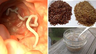 How to Get Rid of Intestinal Parasites (recipe)